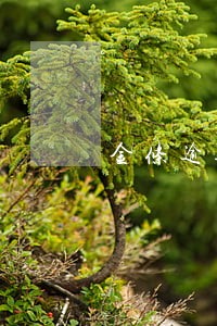 金条逾期一个约会怎么样 金条逾期一个约会怎么样