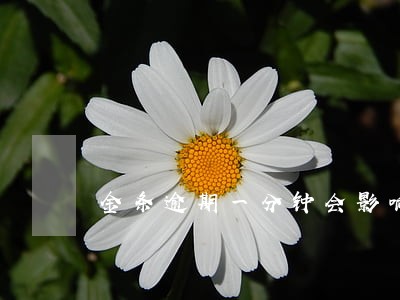金条逾期一分钟会影响吗 金条逾期一分钟会影响吗