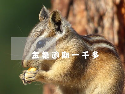 金条逾期一千多 金条逾期一千多