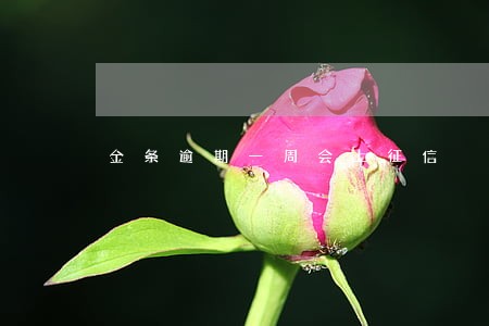 金条逾期一周会上征信 金条逾期一周会上征信