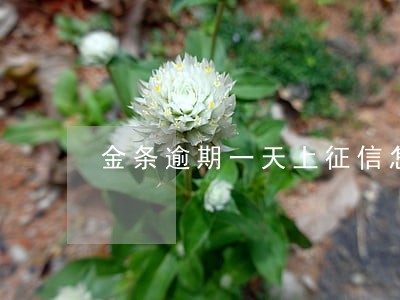 金条逾期一天上征信怎么申诉 金条逾期一天上征信怎么申诉