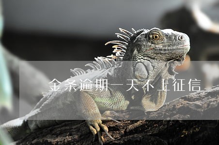 金条逾期一天不上征信 金条逾期一天不上征信