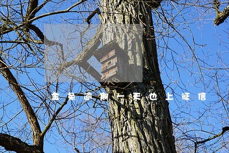 金条逾期一天也上征信 金条逾期一天也上征信