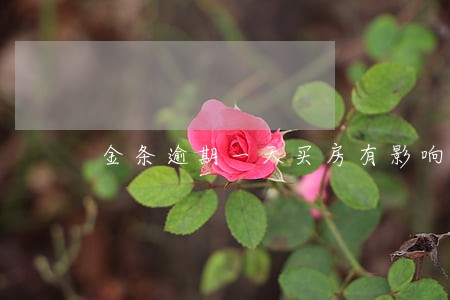 金条逾期一天买房有影响吗 金条逾期一天买房有影响吗