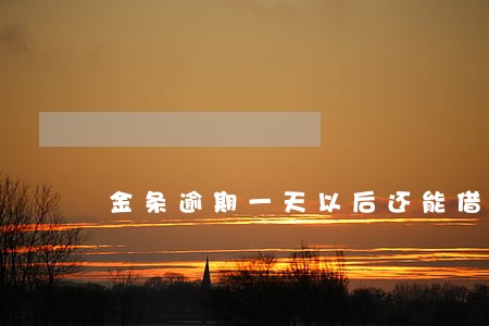 金条逾期一天以后还能借吗 金条逾期一天以后还能借吗