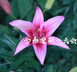 金条逾期一天会影响贷款吗 金条逾期一天会影响贷款吗