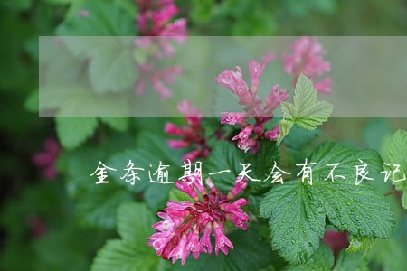 金条逾期一天会有不良记录吗 金条逾期一天会有不良记录吗
