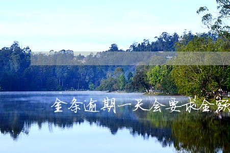 金条逾期一天会要求全额还款吗 金条逾期一天会要求全额还款吗