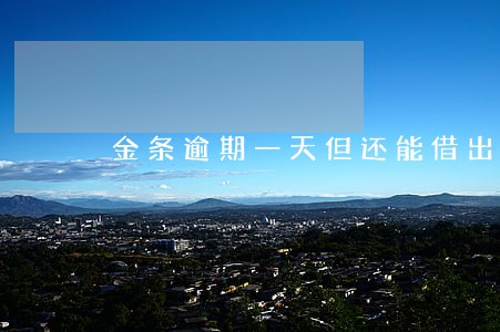 金条逾期一天但还能借出来 金条逾期一天但还能借出来