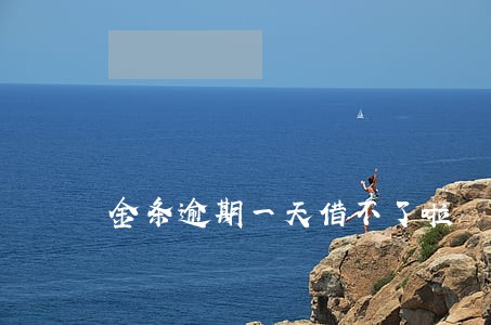 金条逾期一天借不了啦 金条逾期一天借不了啦