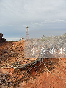 金条逾期一天利息
