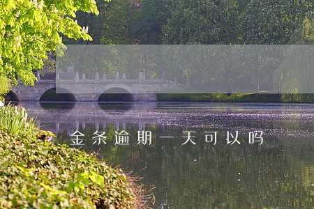 金条逾期一天可以吗 金条逾期一天可以吗