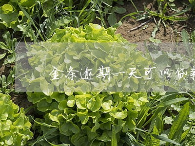 金条逾期一天可以贷款买房吗 金条逾期一天可以贷款买房吗
