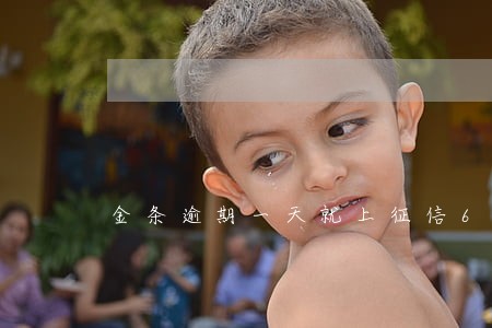 金条逾期一天就上征信6 金条逾期一天就上征信6