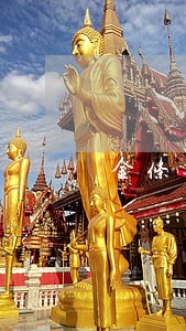 金条逾期一天就不能用了 金条逾期一天就不能用了