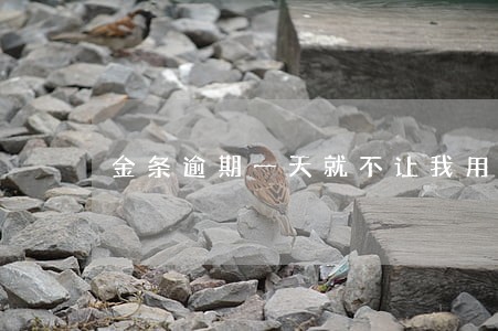 金条逾期一天就不让我用了 金条逾期一天就不让我用了