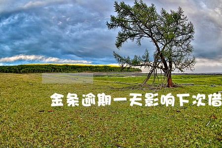 金条逾期一天影响下次借钱吗 金条逾期一天影响下次借钱吗