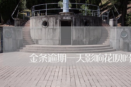 金条逾期一天影响花呗吗 金条逾期一天影响花呗吗
