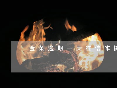 金条逾期一天征信咋搞 金条逾期一天征信咋搞