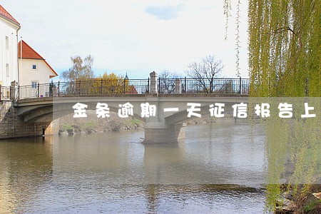 金条逾期一天征信报告上没有记录 金条逾期一天征信报告上没有记录