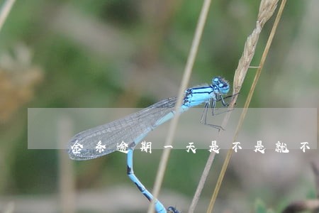 金条逾期一天是不是就不能开通了 金条逾期一天是不是就不能开通了