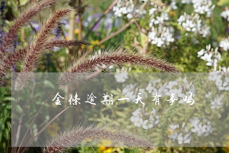 金条逾期一天有事吗 金条逾期一天有事吗