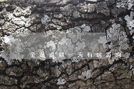 金条逾期一天有啥影响 金条逾期一天有啥影响
