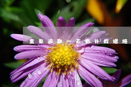 金条逾期一天有补救措施吗 金条逾期一天有补救措施吗