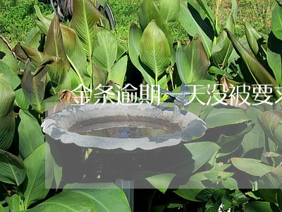 金条逾期一天没被要求结清 金条逾期一天没被要求结清