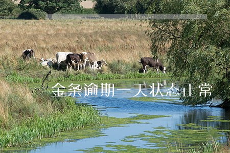 金条逾期一天状态正常