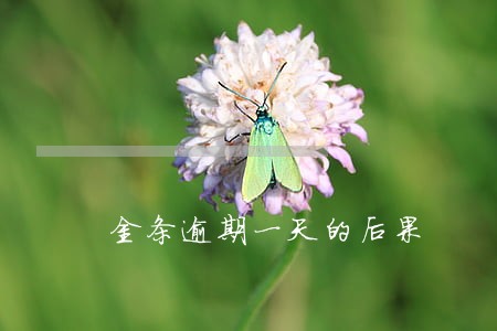 金条逾期一天的后果