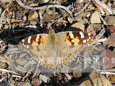 金条逾期一天算黑户吗 金条逾期一天算黑户吗