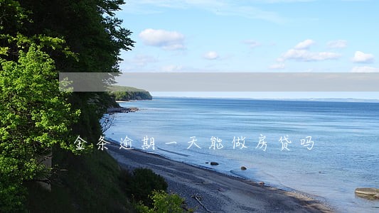 金条逾期一天能做房贷吗 金条逾期一天能做房贷吗