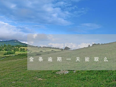 金条逾期一天能取么 金条逾期一天能取么