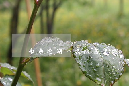金条逾期一天能房贷吗 金条逾期一天能房贷吗