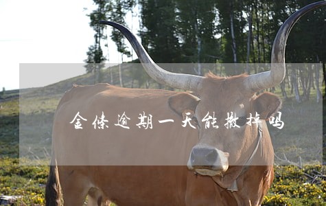 金条逾期一天能撤掉吗 金条逾期一天能撤掉吗