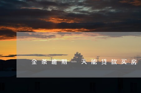 金条逾期一天能贷款买房吗