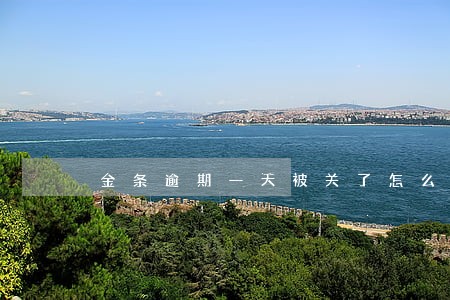金条逾期一天被关了怎么办 金条逾期一天被关了怎么办