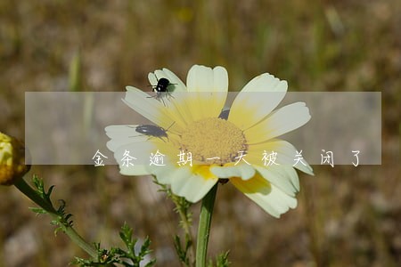 金条逾期一天被关闭了 金条逾期一天被关闭了