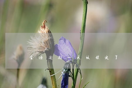 金条逾期一天被锁定了 金条逾期一天被锁定了