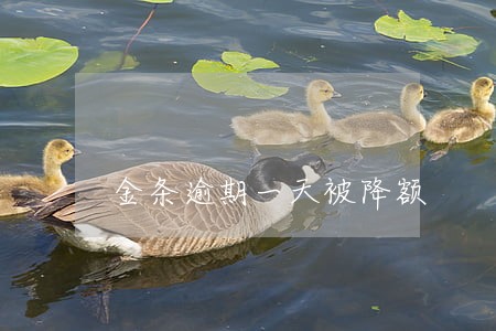 金条逾期一天被降额 金条逾期一天被降额