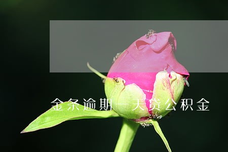 金条逾期一天贷公积金