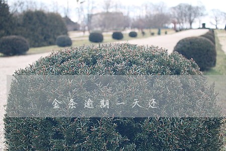 金条逾期一天还