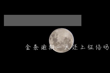 金条逾期一天还上征信吗 金条逾期一天还上征信吗
