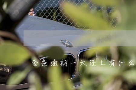 金条逾期一天还上有什么影响 金条逾期一天还上有什么影响