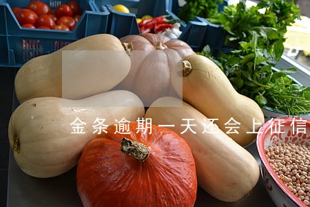 金条逾期一天还会上征信吗 金条逾期一天还会上征信吗