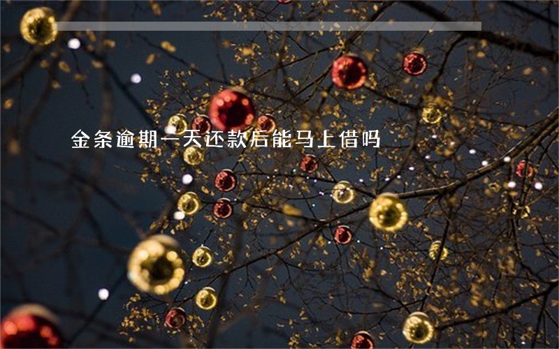 金条逾期一天还款后能马上借吗 金条逾期一天还款后能马上借吗