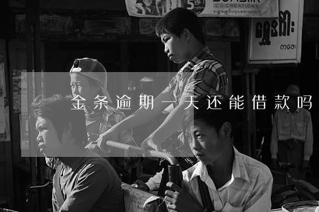 金条逾期一天还能借款吗