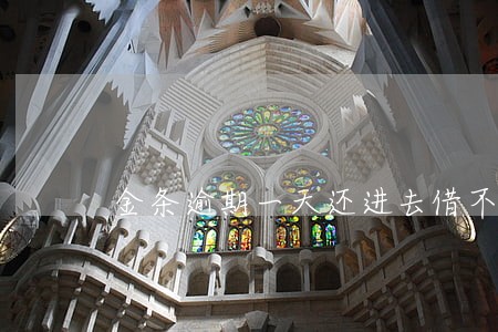 金条逾期一天还进去借不出来了 金条逾期一天还进去借不出来了