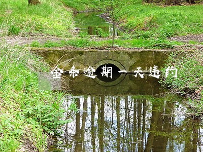 金条逾期一天违约 金条逾期一天违约
